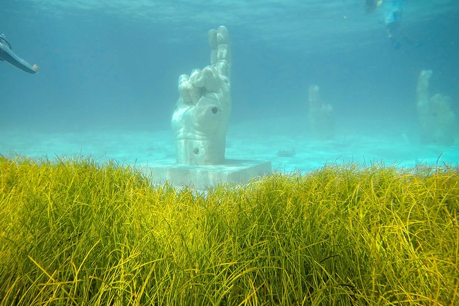 Afternoon Half-Day Catmaran Sailing and Snorkel Adventure - Should you book it?