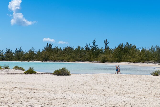 Afternoon Half Day Cruise from Providenciales with Snorkeling and Iguana Island - Iguana Island and Half Moon Bay Cay