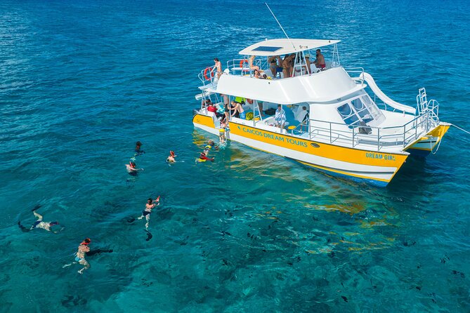 Afternoon Half Day Cruise from Providenciales with Snorkeling and Iguana Island - Cruising Grace Bay Beach at the end