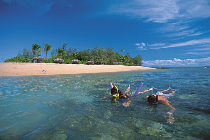 Afternoon Low Isles Snorkelling & Sunset Sail from Port Douglas - Choosing your time in the water