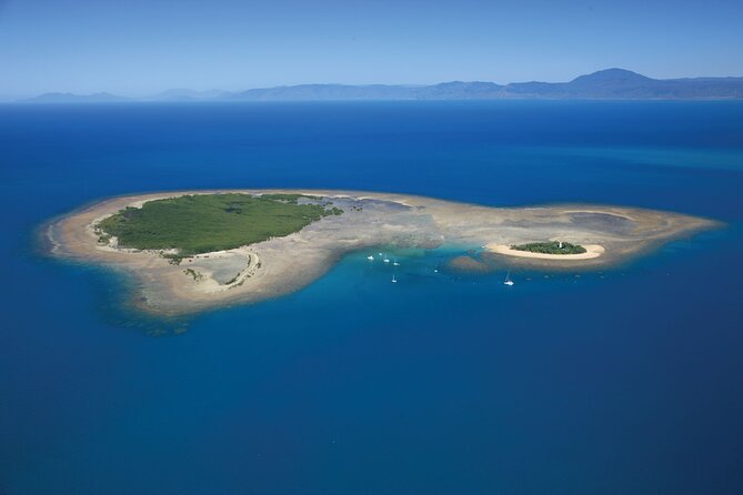 Afternoon Low Isles Snorkelling & Sunset Sail from Port Douglas - Food, drinks, and the sunset return