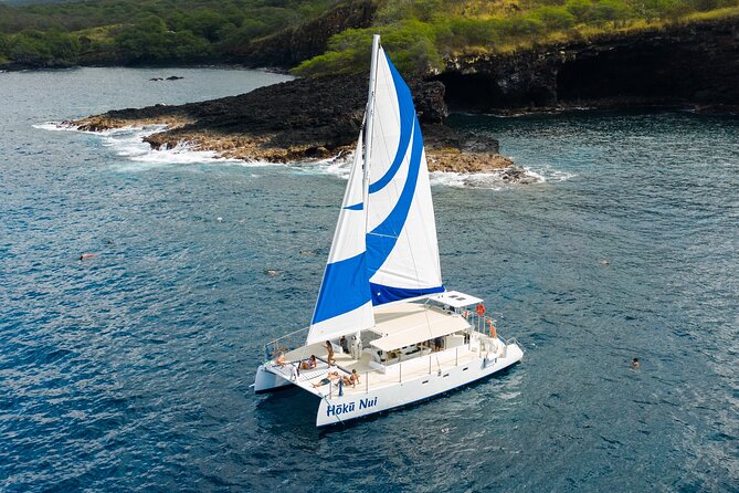 Afternoon Sail & Snorkel to the Captain Cook Monument - Dolphins, whales, and other wildlife