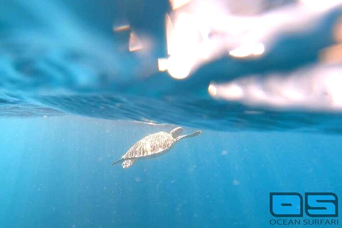 Afternoon Snorkel, Pizza & Sunset Tour departing from St. Thomas & St. John - Pizza Pi at Christmas Cove