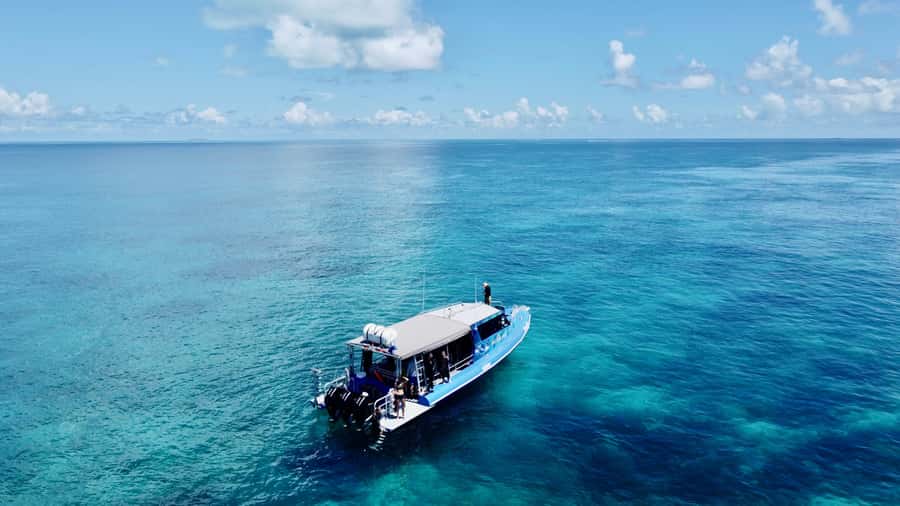 Agnes/1770: Southern Great Barrier Reef Snorkelling Day Trip - Why the Southern Great Barrier Reef is worth the long ride