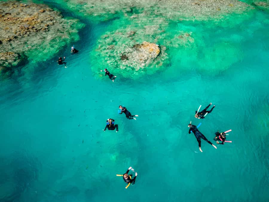 Airlie Beach: 2-Day Whitsunday Islands Sailing Snorkel Tour - Key points to know before you book
