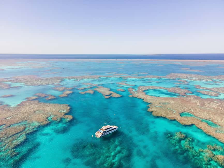 Airlie Beach: Great Barrier Reef Snorkel from Shute Harbour - Three hours across the Whitsundays