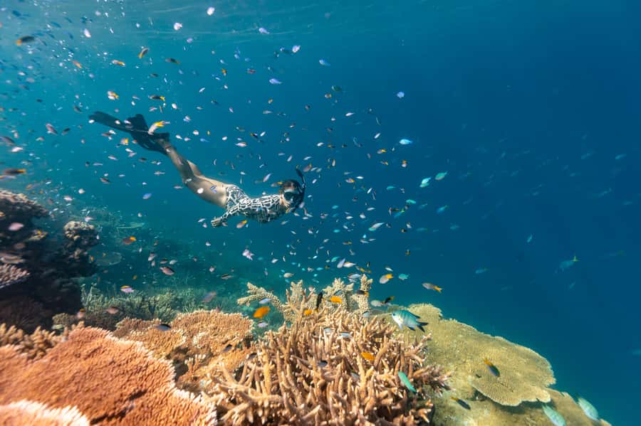 Airlie Beach: Outer Great Barrier Reef Snorkeling Day Trip - Choosing the first reef site