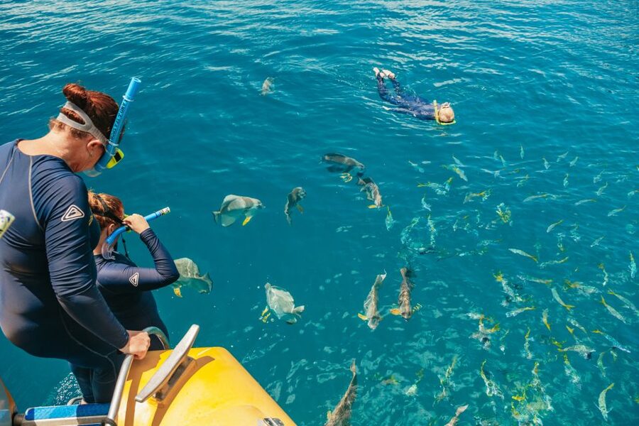 Airlie Beach: Snorkel, Hill Inlet Lookout & Whitehaven Beach - Practical preparation for the water and sun