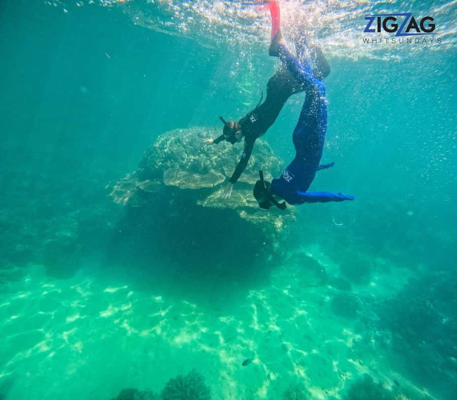 Airlie Beach: Whitehaven Beach Day Tour with Snorkel Option - Key points to know before booking