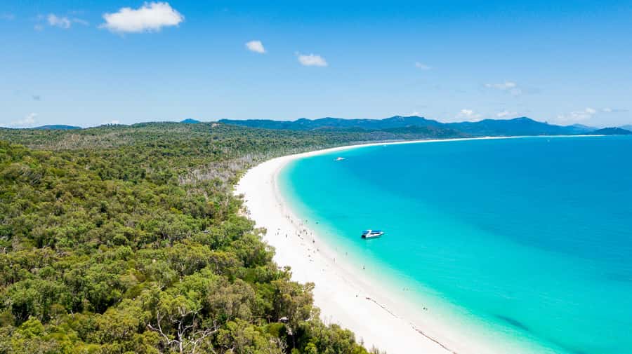 Airlie Beach: Whitehaven Beach Day Tour with Snorkel Option - Who should choose this tour