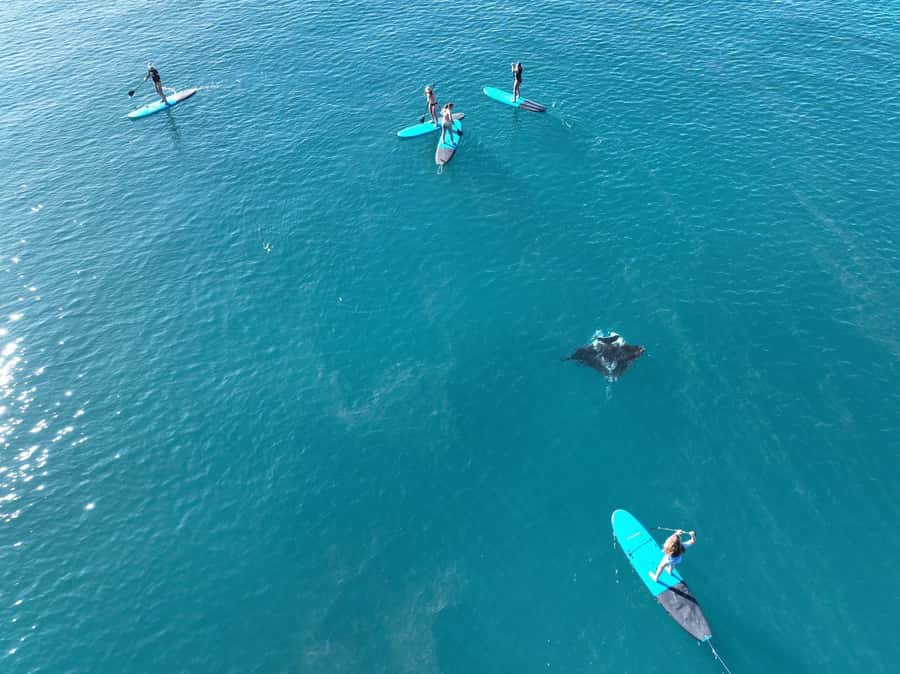 Airlie Beach: Whitsunday Islands Sailing, SUP & Snorkel Tour - Who should book this sailing trip