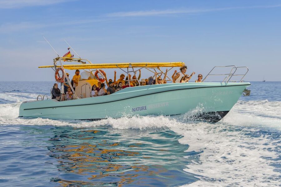 Alcudia: Coll Baix Beach & Sea Caves Cruise with Snorkeling - Quick points before you book