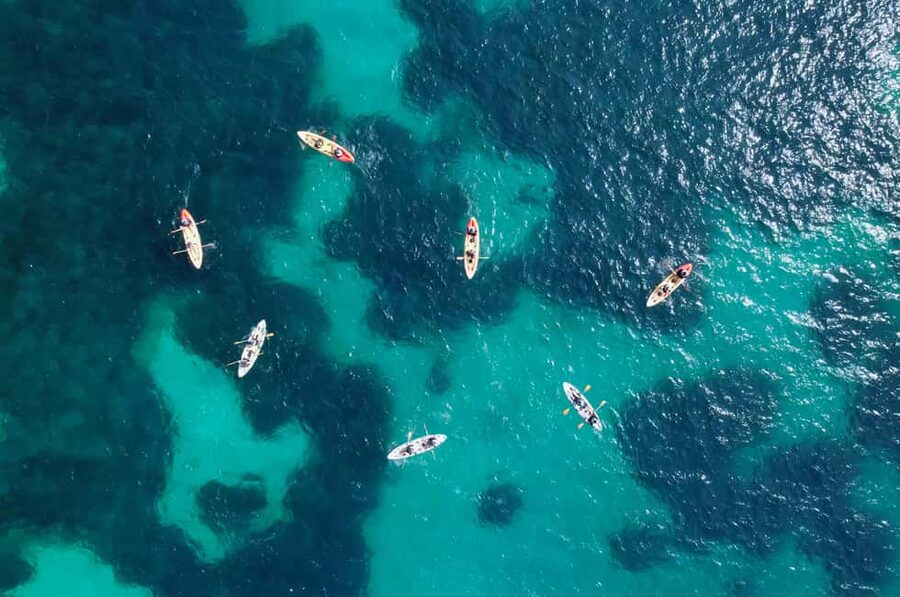 Alcudia: Kayak Tour with Snorkel & Sea Cave Swim - Snorkeling in the northern Mallorca water