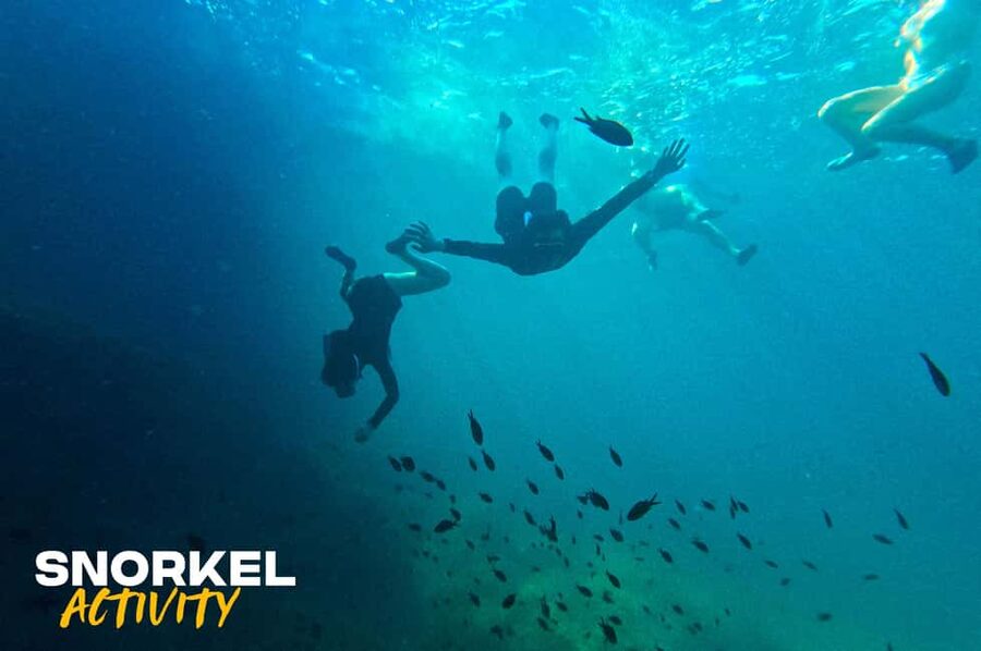 Alcudia: Kayak Tour with Snorkel & Sea Cave Swim - Paddling beneath Mallorca’s cliffs
