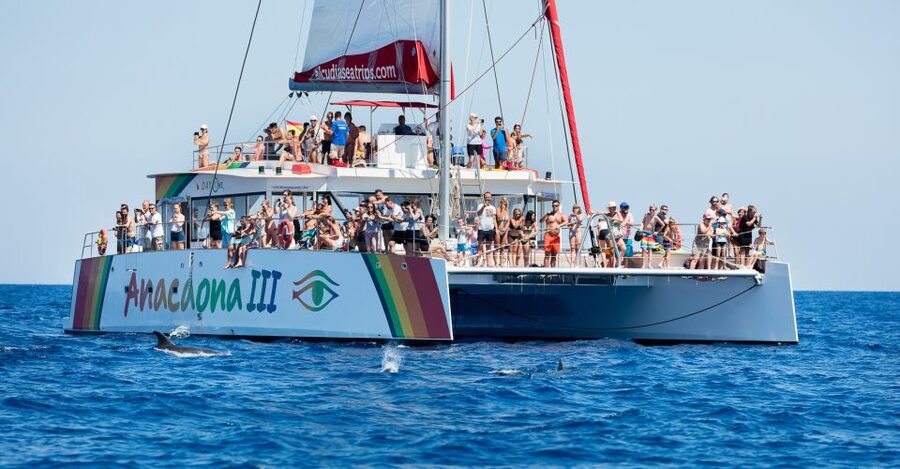 Alcudia: Sunset Catamaran Tour with Dinner and Snorkeling - Crossing the Bay Toward a Quiet Cove