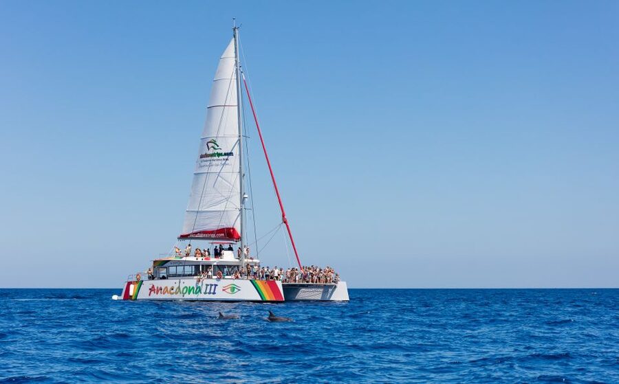Alcudia: Sunset Catamaran Tour with Dinner and Snorkeling - BBQ Dinner with Sunset Views