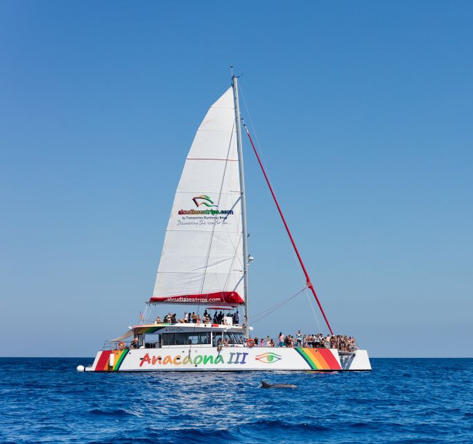 Alcudia: Sunset Catamaran Tour with Dinner and Snorkeling - Is the $77 Price Good Value?