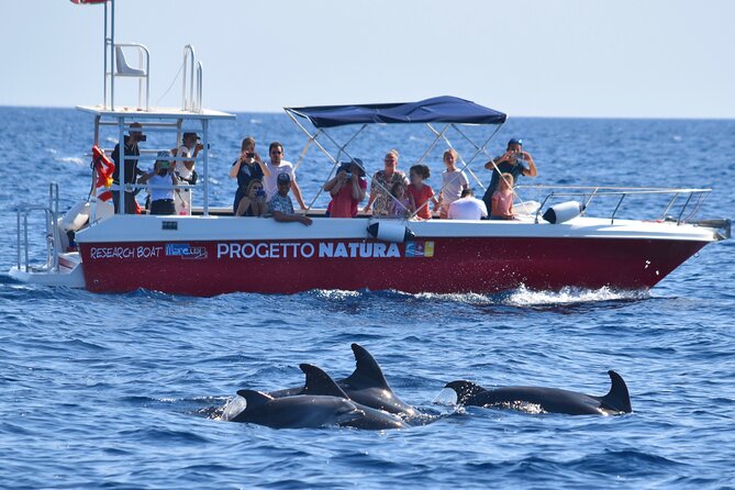 Alghero - Dolphin Watching and Guided Snorkeling (summer tour) - Is the $78.64 price good value?