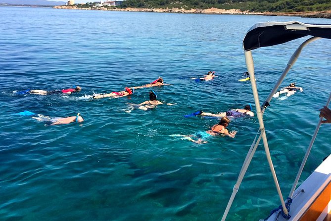 Alghero - Dolphin Watching and Guided Snorkeling (summer tour) - Who will enjoy it most