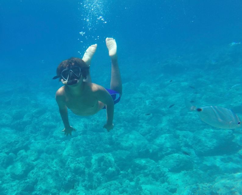 Alghero: Snorkeling Boat Tour in Porto Conte and Capo Caccia - Foradada Island and the Palombi cave