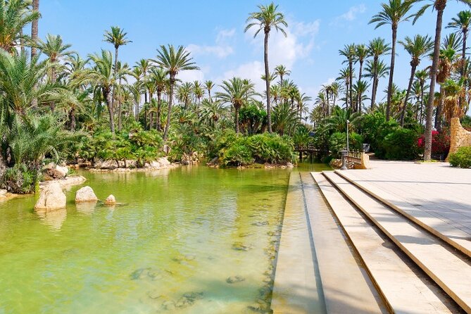 Alicante: Calas & Beaches Snorkeling with E - Bikes - Is $36.01 good value?