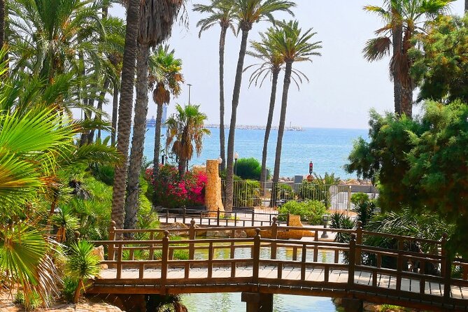 Alicante: Calas & Beaches Snorkeling with E - Bikes - What to bring for the coves