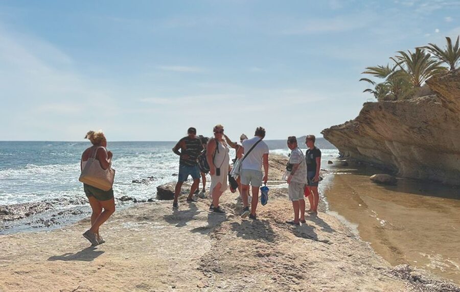 Alicante : E-Bike Coast Tour, Roman Fish Farm and Snorkeling - Practical planning before you go