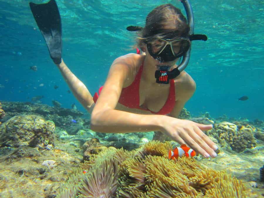 All Include Snorkeling at Menjangan Island - Reaching Menjangan Island from your hotel