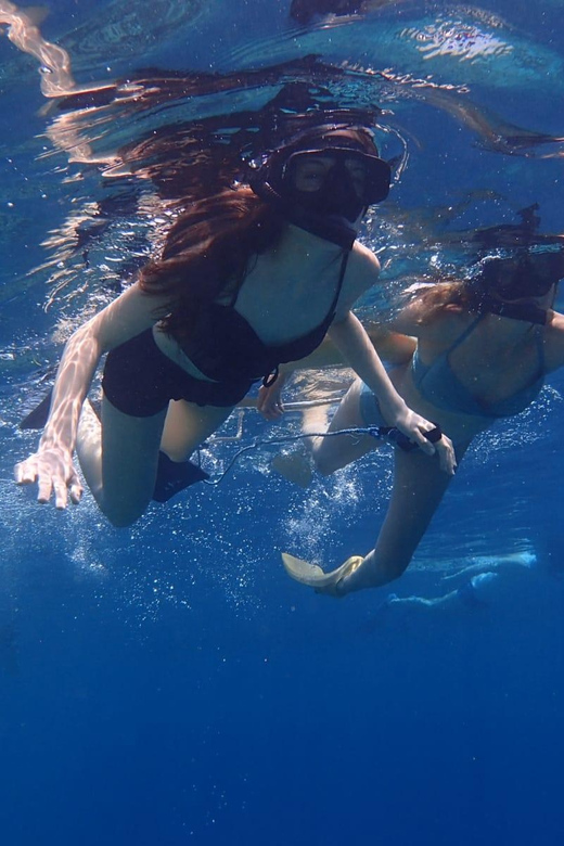 All Include Snorkeling at Menjangan Island - A simple five-hour plan