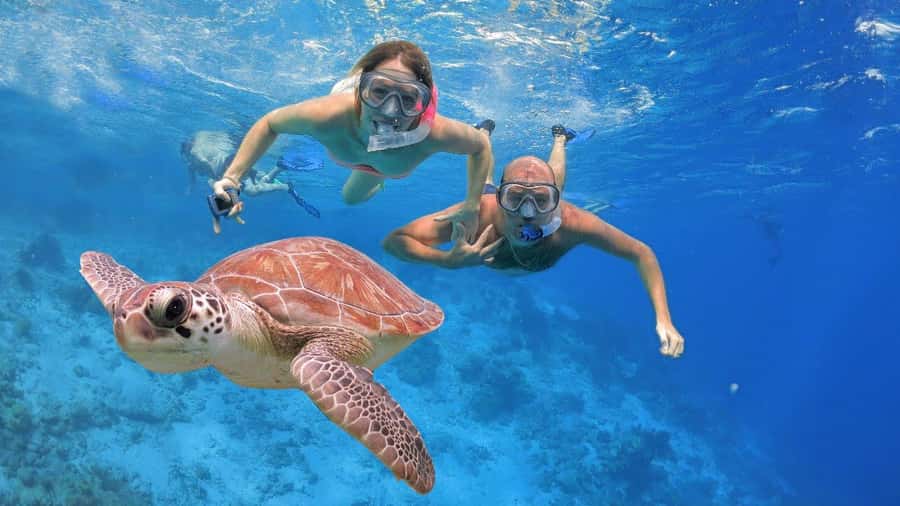 All Include Snorkeling at Menjangan Island - The island known as Deer Island