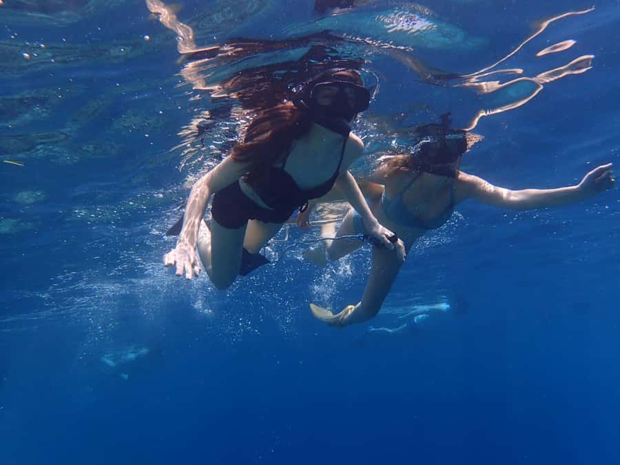 All Include Snorkeling Menjangan Island - Why Menjangan Island is worth the trip