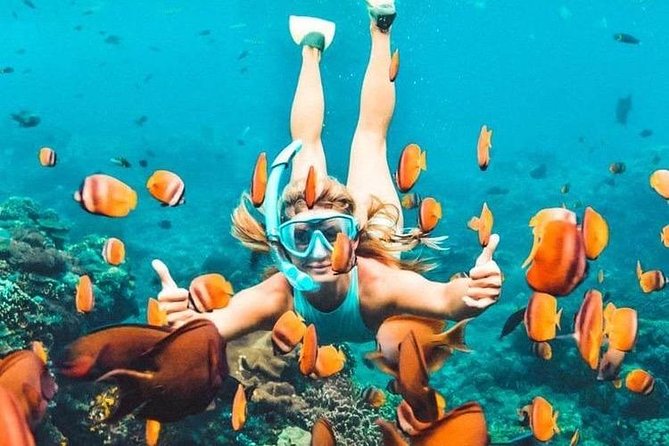 All Inclusive : Bali Blue Lagoon Snorkeling, Lunch, and Transport - Blue Lagoon: the gentler first stop