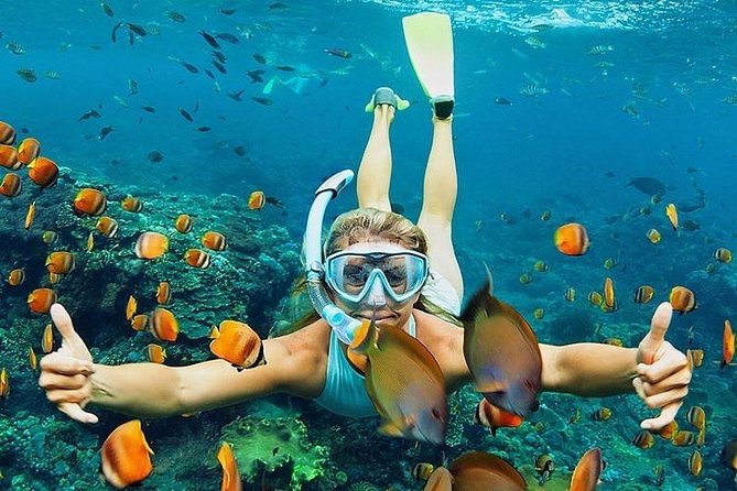 A snorkeler hanging in clear water inside a swarm of orange reef fish
