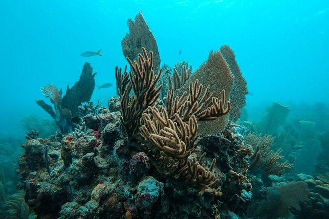 All Inclusive Beach and Snorkel Boat Tour to Icacos Island - What makes this tour memorable