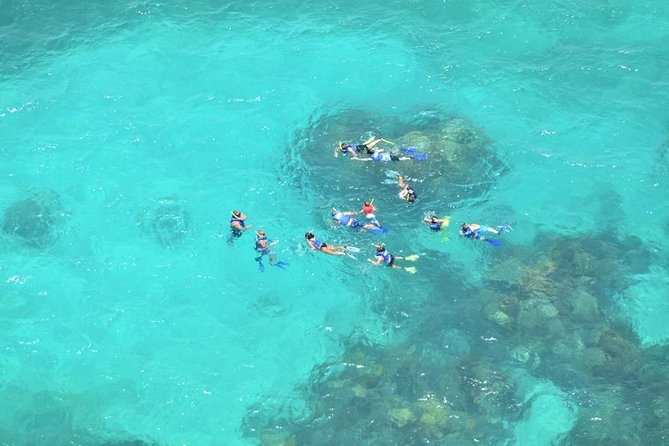 All Inclusive Caribbean adventure, reef snorkeling, Food & Drinks - Booking details and cancellation
