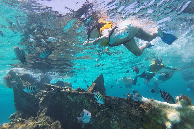 All-Inclusive Isla Mujeres Catamaran with Free Transportation - Swimming at the Blanquizal sandbar