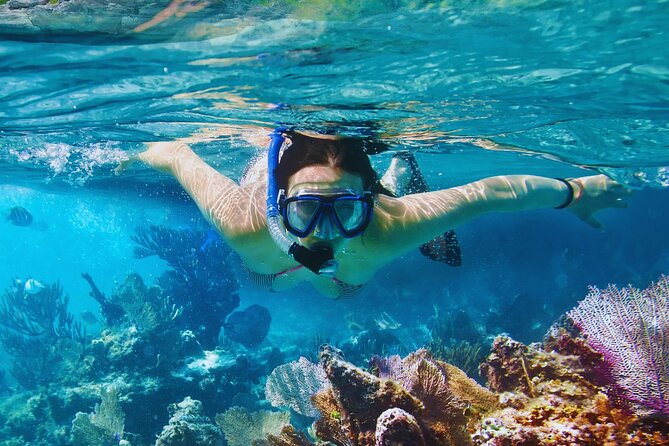 Amalfi Coast Snorkeling and Limoncello Tasting: 4h Boat Tour - Conca dei Marini brings the first swim