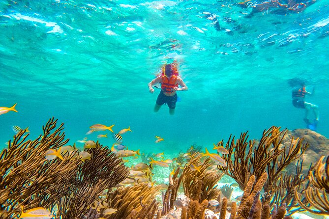 Amazing Snorkeling Experience + Real Mexican Tacos - Tacos, snacks, and the Puerto Morelos stop