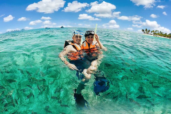 Amazing Snorkeling Experience + Real Mexican Tacos - The ride from Cancun and what to expect first