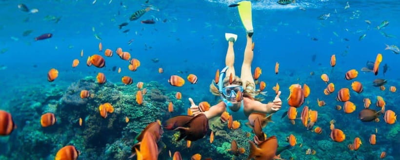 Amed: Snorkeling Tour with Japanese Shipwreck and Coral … - The Japanese Shipwreck is the headline stop