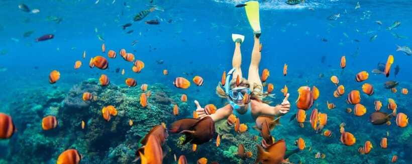 Amed: Snorkeling Tour with Japanese Shipwreck and Coral … - Selang Beach finishes with the Coral Garden