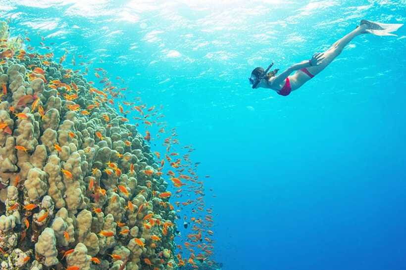Amed: Snorkeling Tour with Japanese Shipwreck and Coral … - What the $40 price really covers