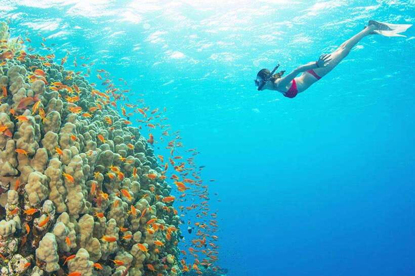 Amed: Snorkeling Tour with Japanese Shipwreck and Coral … - Amed Beach and Pyramid start the route