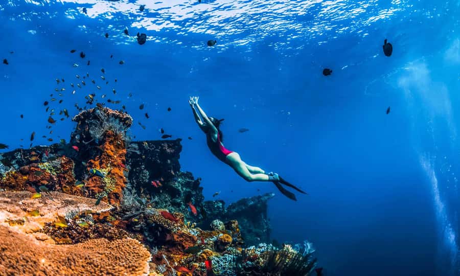 Amed: Snorkeling Trip to the Japanese Shipwreck - Why Amed’s Japanese Shipwreck Is Worth the Trip