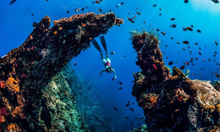 Amed: Snorkeling Trip to the Japanese Shipwreck - Japanese Shipwreck Point and Water Conditions