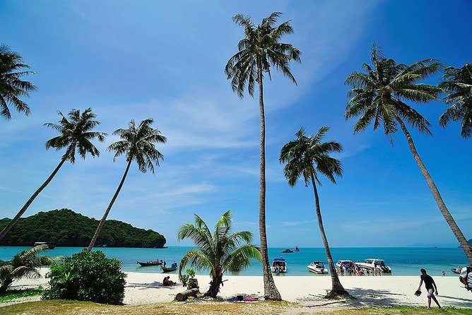 Angthong National Marine Park by Speed Boat with Snorkeling & Kayaking - Why Angthong works well as a one-day outing