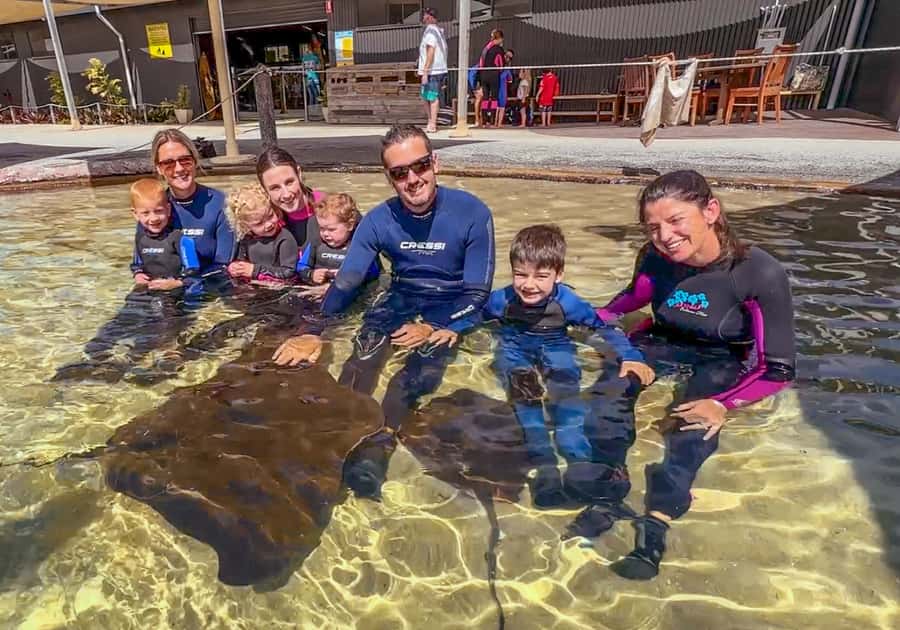 Anna Bay: Irukandji Entry with Zebra Shark Snorkel - What makes the animal mix interesting