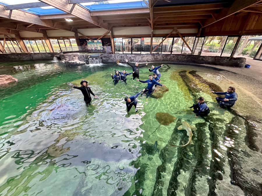 Anna Bay: Irukandji Entry with Zebra Shark Snorkel - Is $75 a fair price?