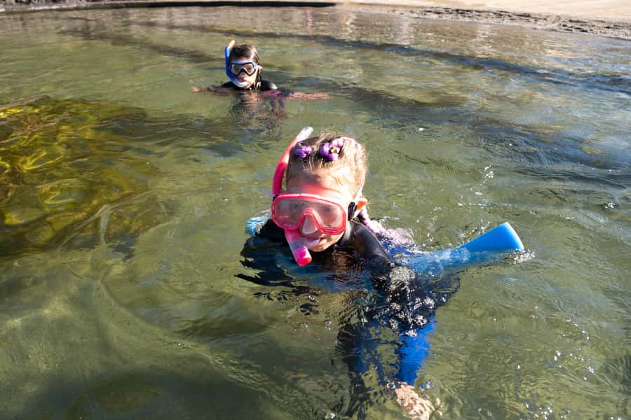 Anna Bay: Irukandji Entry with Zebra Shark Snorkel - Feeding sharks and rays in shallow water
