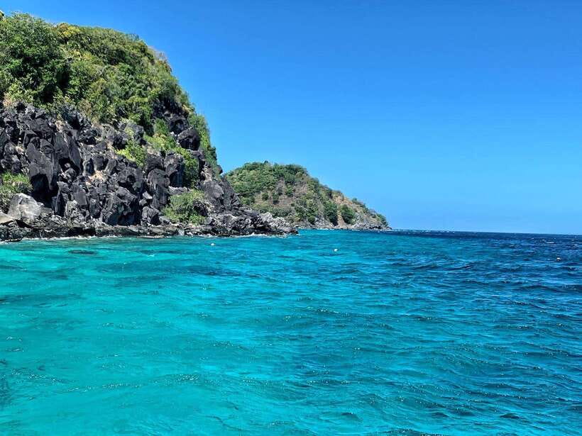 Apo Island Wonders: Snorkel with Sea Turtles in Dumaguete - Three hours of snorkeling around Apo Island